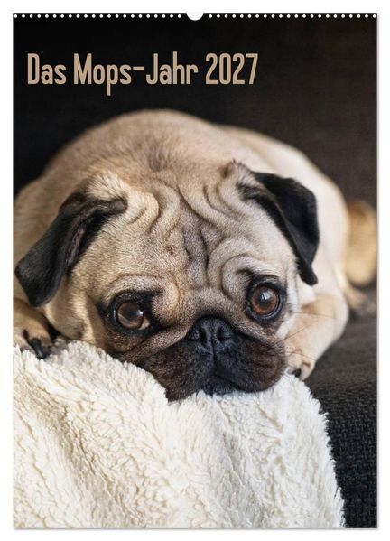Das Mops-Jahr 2027 (Wandkalender 2027 DIN A2 hoch) CALVENDO Monatskalender