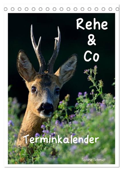 Rehe & Co / Planer (Tischkalender 2027 DIN A5 hoch) CALVENDO Monatskalender