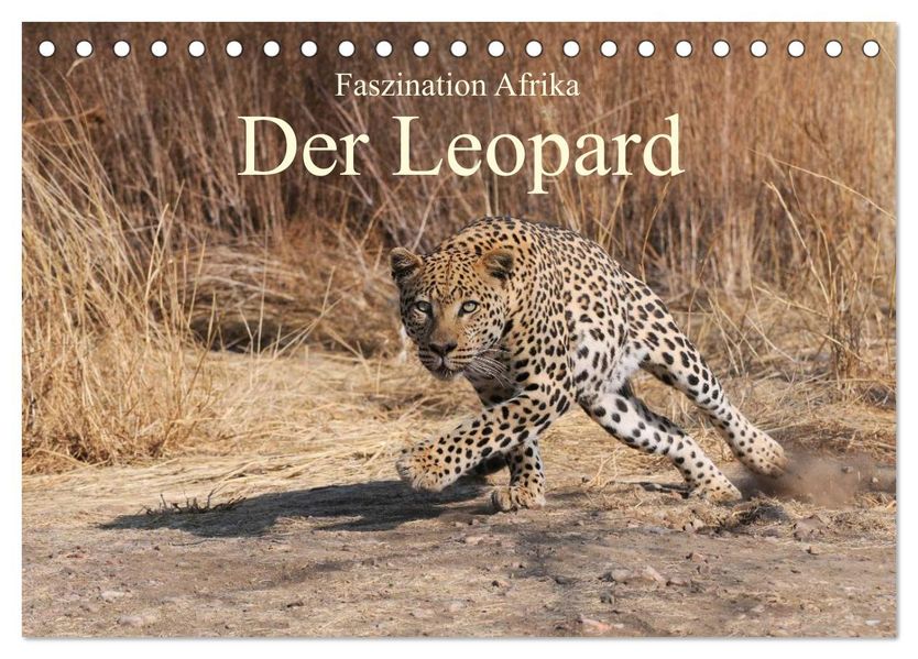 Faszination Afrika: Der Leopard (Tischkalender 2027 DIN A5 quer) CALVENDO Monatskalender