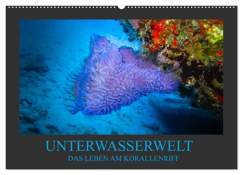 Unterwasserwelt - Das Leben am Korallenriff (Wandkalender 2027 DIN A2 quer) CALVENDO Monatskalender