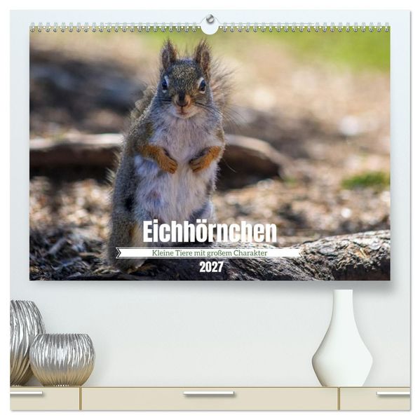 Eichhörnchen - Kleine Tiere mit großem Charakter (hochwertiger Premium Wandkalender 2027 DIN A2 quer) Kunstdruck in Hochglanz