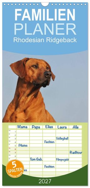 Familienplaner 2027 - Rhodesian Ridgeback 2027 mit 5 Spalten (Wandkalender 21 x 45 cm) CALVENDO