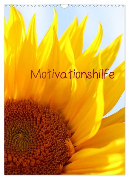 Motivationshilfe (Wandkalender 2027 DIN A3 hoch) CALVENDO Monatskalender