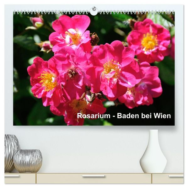 Baden bei Wien - Rosarium (hochwertiger Premium Wandkalender 2027 DIN A2 quer) Kunstdruck in Hochglanz