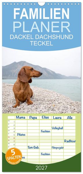 Familienplaner 2027 - DACKEL DACHSHUND TECKEL 2027 mit 5 Spalten (Wandkalender 21 x 45 cm) CALVENDO