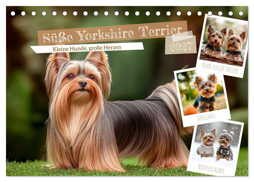 Süße Yorkshire Terrier - Kleine Hunde große Herzen (Tischkalender 2027 DIN A5 quer) CALVENDO Monatskalender