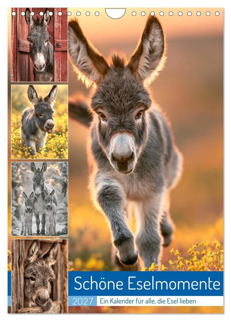 Schöne Eselmomente (Wandkalender 2027 DIN A4 hoch) CALVENDO Monatskalender