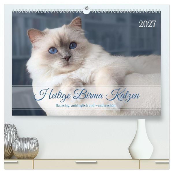 Heilige Birma Katzen - flauschig anhänglich und wunderschön (hochwertiger Premium Wandkalender 2027 DIN A2 quer) Kunstdruck in Hochglanz