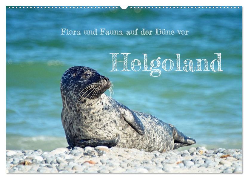 Flora und Fauna auf der Düne vor Helgoland (Wandkalender 2027 DIN A2 quer) CALVENDO Monatskalender
