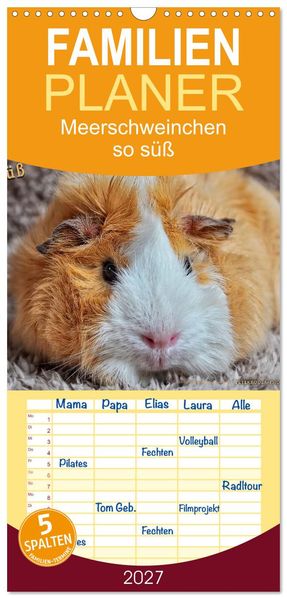 Familienplaner 2027 - Meerschweinchen - so süß mit 5 Spalten (Wandkalender 21 x 45 cm) CALVENDO