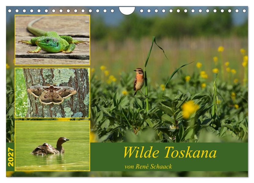 Wilde Toskana - von René Schaack (Wandkalender 2027 DIN A4 quer) CALVENDO Monatskalender