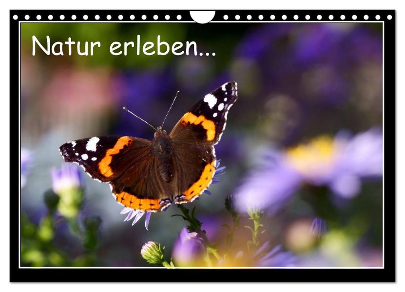 Natur erleben... (Wandkalender 2027 DIN A4 quer) CALVENDO Monatskalender