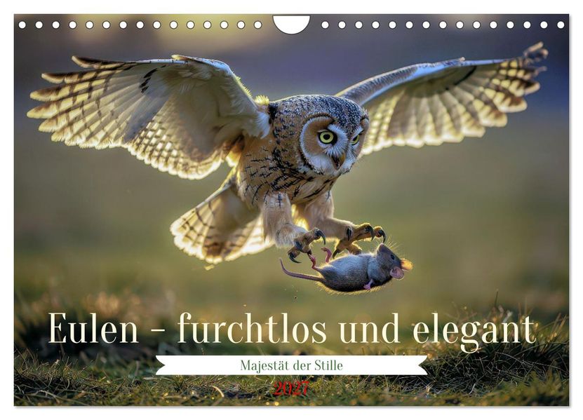 Eulen - furchtlos und elegant (Wandkalender 2027 DIN A4 quer) CALVENDO Monatskalender