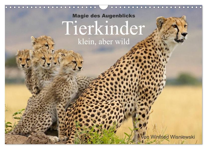 Magie des Augenblicks - Tierkinder - klein aber wild (Wandkalender 2027 DIN A3 quer) CALVENDO Monatskalender