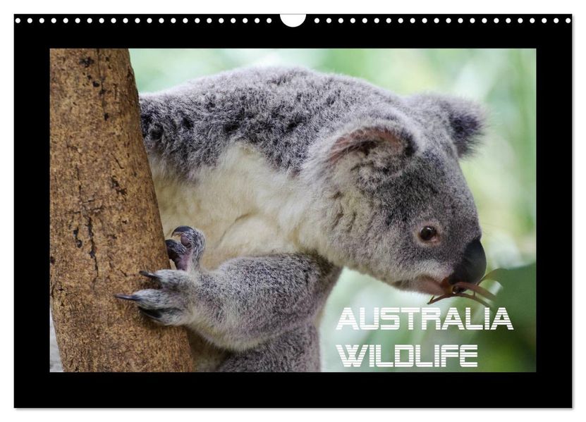 Australia Wildlife (Wandkalender 2027 DIN A3 quer) CALVENDO Monatskalender