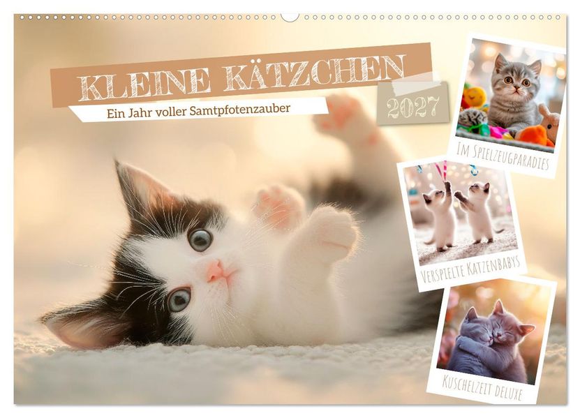 Kleine Kätzchen - Ein Jahr voller Samtpfotenzauber (Wandkalender 2027 DIN A2 quer) CALVENDO Monatskalender