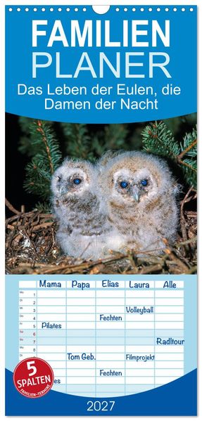 Familienplaner 2027 - Das Leben der Eulen die Damen der Nacht mit 5 Spalten (Wandkalender 21 x 45 cm) CALVENDO