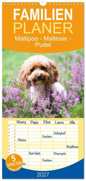 Familienplaner 2027 - Maltipoo - Malteser -Pudel mit 5 Spalten (Wandkalender 21 x 45 cm) CALVENDO