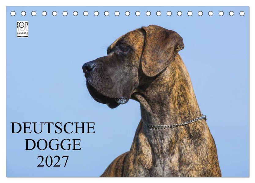 Deutsche Dogge 2027 (Tischkalender 2027 DIN A5 quer) CALVENDO Monatskalender