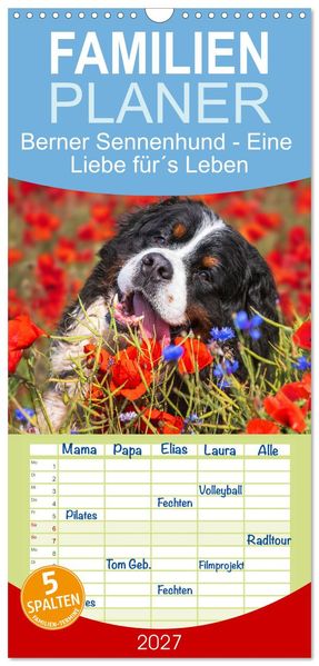 Familienplaner 2027 - Berner Sennenhund - Eine Liebe fürs Leben mit 5 Spalten (Wandkalender 21 x 45 cm) CALVENDO