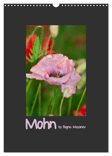 Mohn (Wandkalender 2027 DIN A3 hoch) CALVENDO Monatskalender