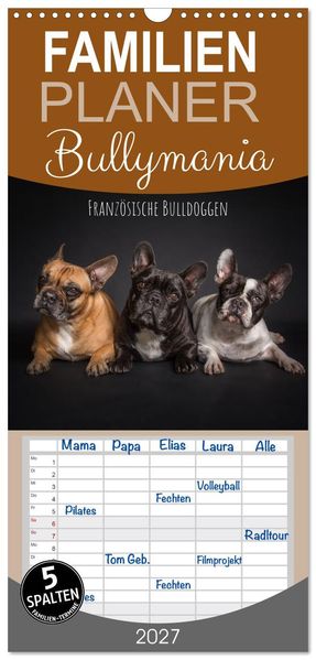 Familienplaner 2027 - Bullymania - Französische Bulldoggen mit 5 Spalten (Wandkalender 21 x 45 cm) CALVENDO