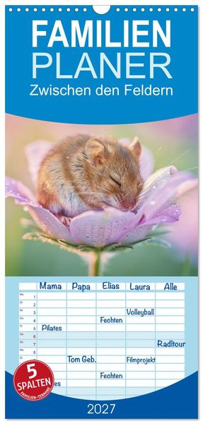 Familienplaner 2027 - Zwischen den Feldern mit 5 Spalten (Wandkalender 21 x 45 cm) CALVENDO