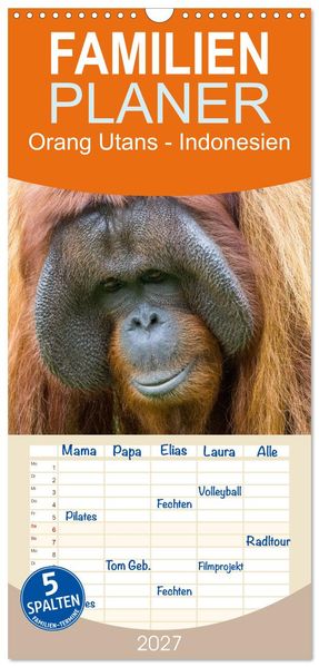 Familienplaner 2027 - Orang Utans - Indonesien mit 5 Spalten (Wandkalender 21 x 45 cm) CALVENDO