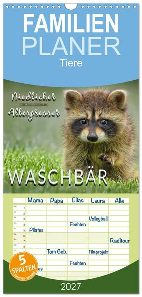 Familienplaner 2027 - Waschbär - Niedlicher Allesfresser mit 5 Spalten (Wandkalender 21 x 45 cm) CALVENDO