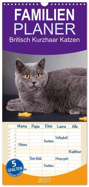 Familienplaner 2027 - Britisch Kurzhaar Katzen mit 5 Spalten (Wandkalender 21 x 45 cm) CALVENDO