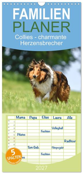 Familienplaner 2027 - Collies - charmante Herzensbrecher mit 5 Spalten (Wandkalender 21 x 45 cm) CALVENDO