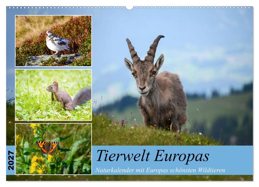 Tierwelt Europas - Naturkalender mit Europas schönsten Wildtieren (Wandkalender 2027 DIN A2 quer) CALVENDO Monatskalender