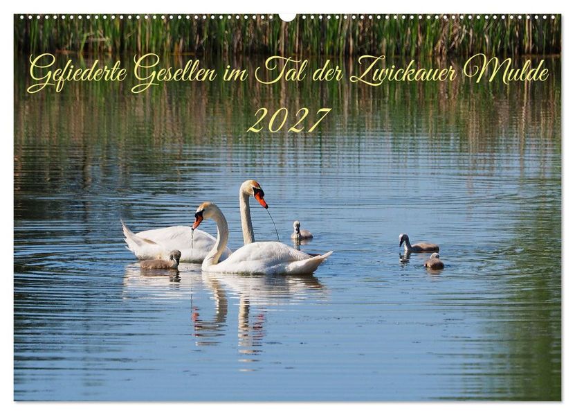 Gefiederte Gesellen im Tal der Zwickauer Mulde (Wandkalender 2027 DIN A2 quer) CALVENDO Monatskalender