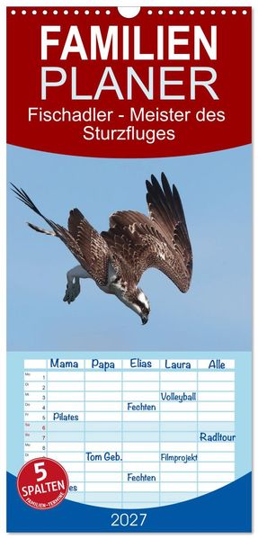 Familienplaner 2027 - Fischadler - Meister des Sturzfluges mit 5 Spalten (Wandkalender 21 x 45 cm) CALVENDO