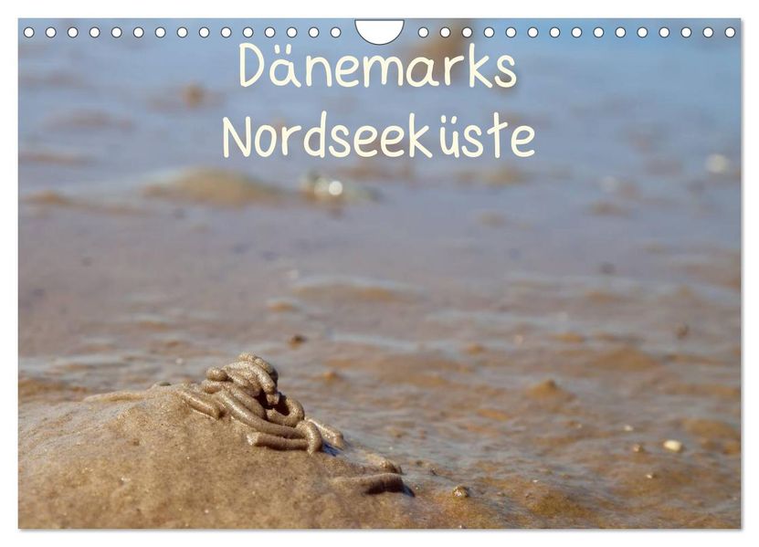 Dänemarks Nordseeküste (Wandkalender 2027 DIN A4 quer) CALVENDO Monatskalender