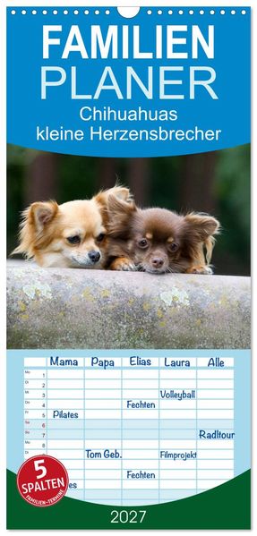 Familienplaner 2027 - Chihuahuas - kleine Herzensbrecher mit 5 Spalten (Wandkalender 21 x 45 cm) CALVENDO