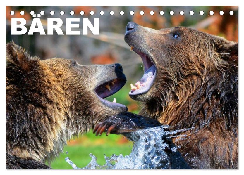 Bären (Tischkalender 2027 DIN A5 quer) CALVENDO Monatskalender