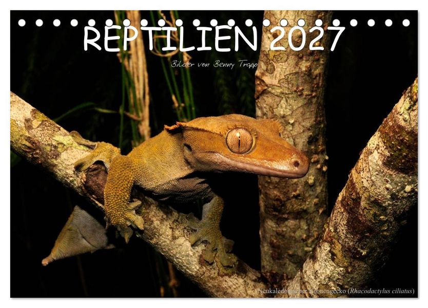REPTILIEN (Tischkalender 2027 DIN A5 quer) CALVENDO Monatskalender