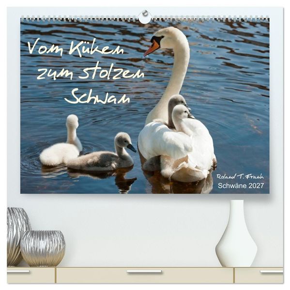 Vom Küken zum stolzen Schwan (hochwertiger Premium Wandkalender 2027 DIN A2 quer) Kunstdruck in Hochglanz