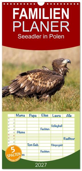 Familienplaner 2027 - Seeadler in Polen mit 5 Spalten (Wandkalender 21 x 45 cm) CALVENDO