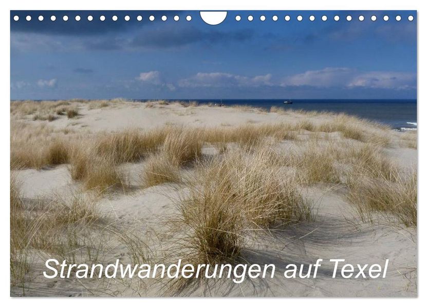 Strandwanderungen auf Texel (Wandkalender 2027 DIN A4 quer) CALVENDO Monatskalender