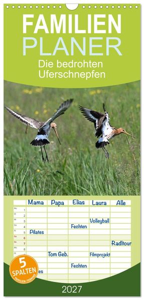 Familienplaner 2027 - Die bedrohten Uferschnepfen mit 5 Spalten (Wandkalender 21 x 45 cm) CALVENDO