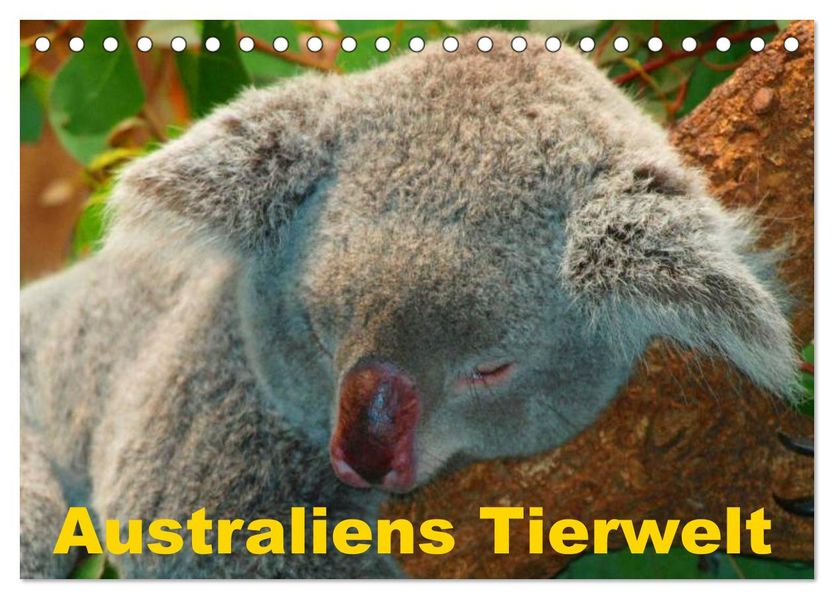 Australiens Tierwelt (Tischkalender 2027 DIN A5 quer) CALVENDO Monatskalender
