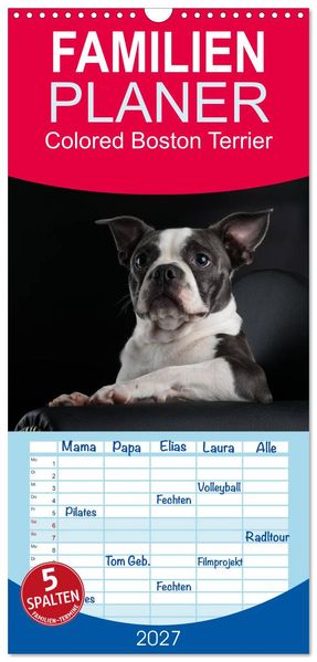 Familienplaner 2027 - Colored Boston Terrier 2027 mit 5 Spalten (Wandkalender 21 x 45 cm) CALVENDO