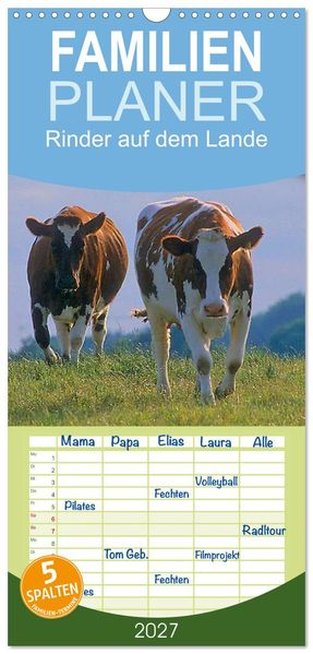 Familienplaner 2027 - Rinder auf dem Lande mit 5 Spalten (Wandkalender 21 x 45 cm) CALVENDO
