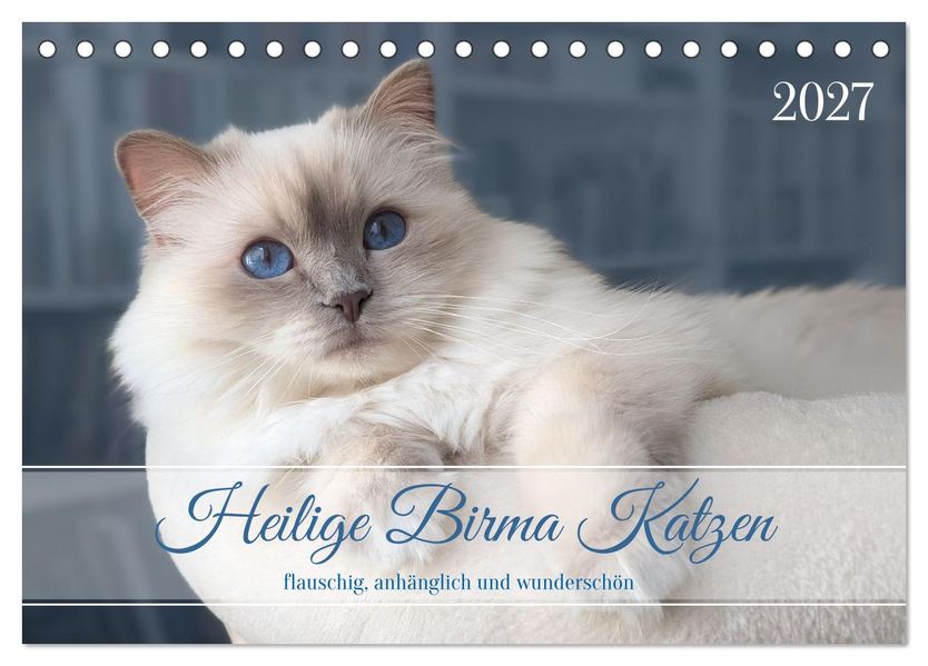 Heilige Birma Katzen - flauschig anhänglich und wunderschön (Tischkalender 2027 DIN A5 quer) CALVENDO Monatskalender