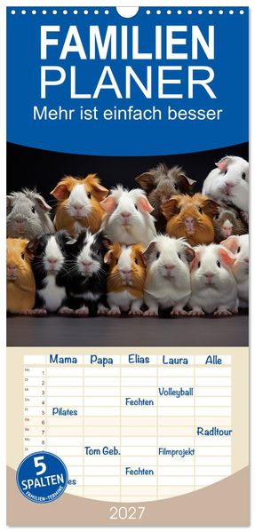 Familienplaner 2027 - Mehr ist einfach besser mit 5 Spalten (Wandkalender 21 x 45 cm) CALVENDO
