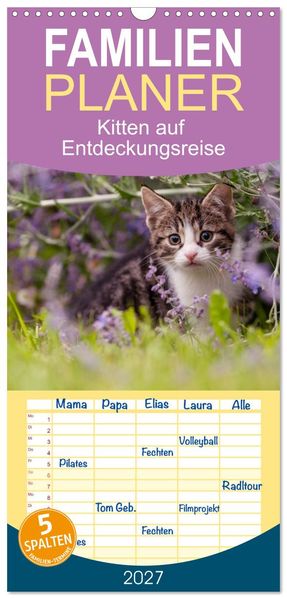 Familienplaner 2027 - Kitten auf Entdeckungsreise mit 5 Spalten (Wandkalender 21 x 45 cm) CALVENDO