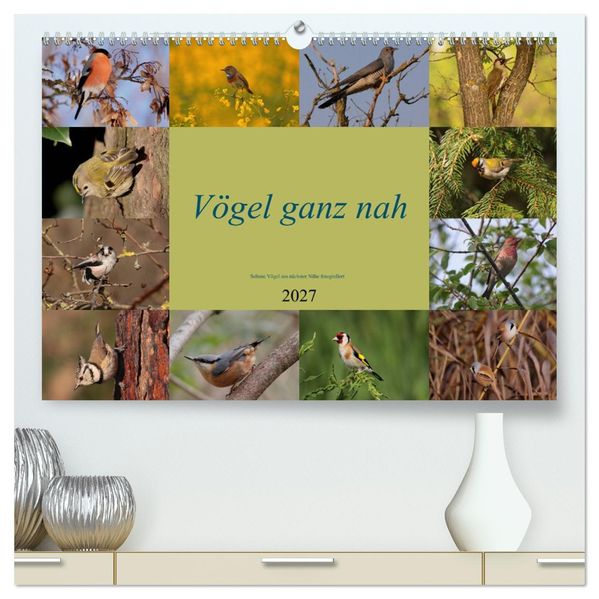 Vögel ganz nah (hochwertiger Premium Wandkalender 2027 DIN A2 quer) Kunstdruck in Hochglanz