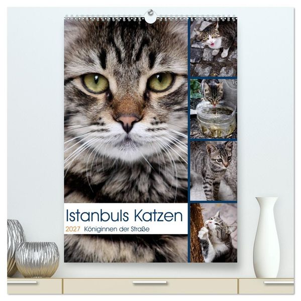 Istanbuls Katzen (hochwertiger Premium Wandkalender 2027 DIN A2 hoch) Kunstdruck in Hochglanz